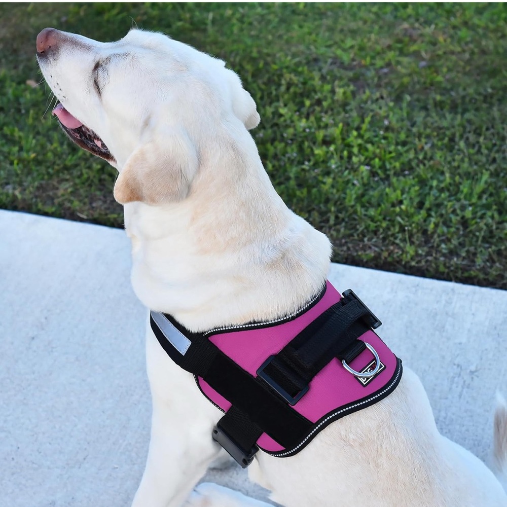 🦮Size L Joy Ride Harness